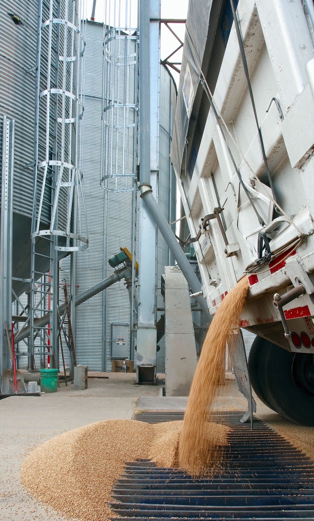 Grain being unloaded at a silo facility